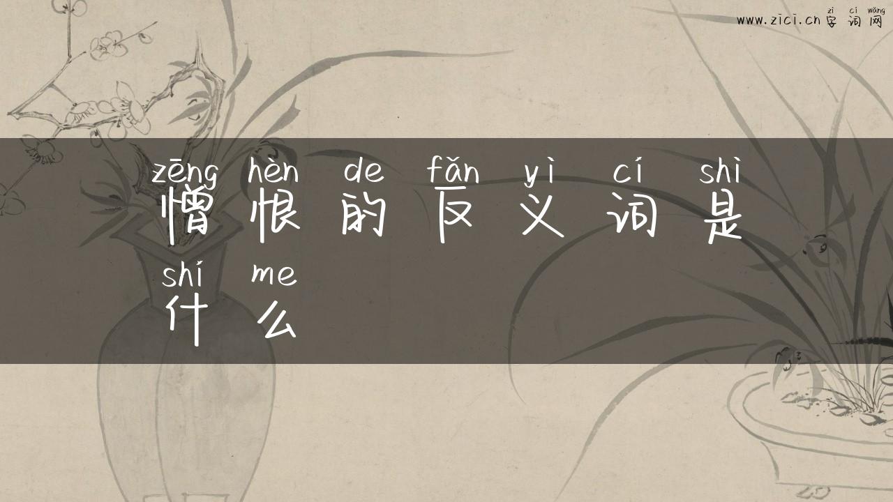 憎恨的反义词是什么