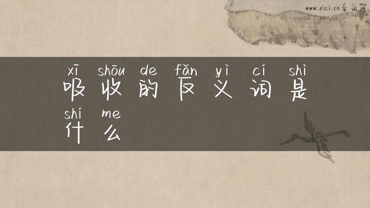 吸收的反义词是什么