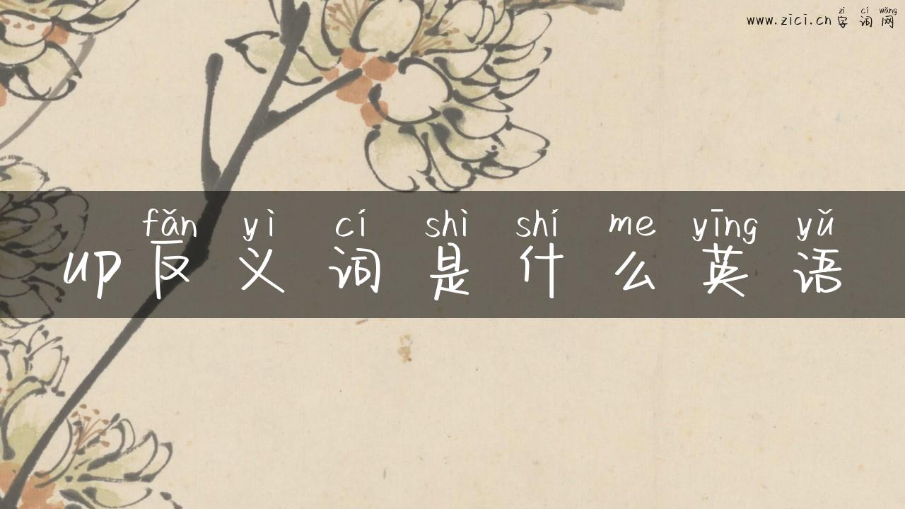 up反义词是什么英语