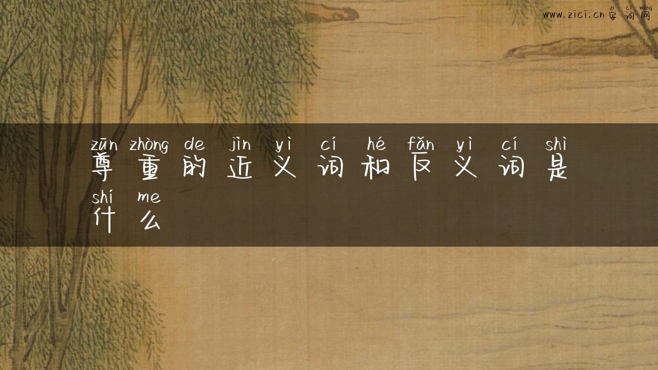 尊重的近义词和反义词是什么