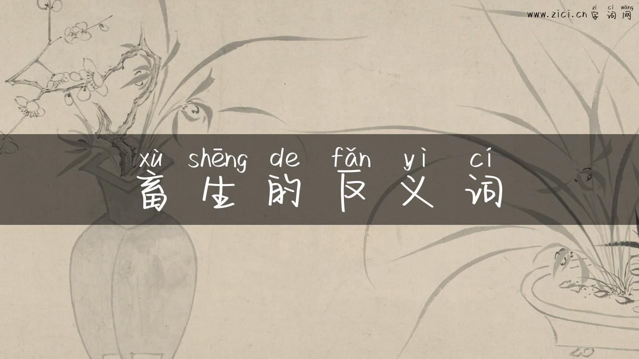 畜生的反义词