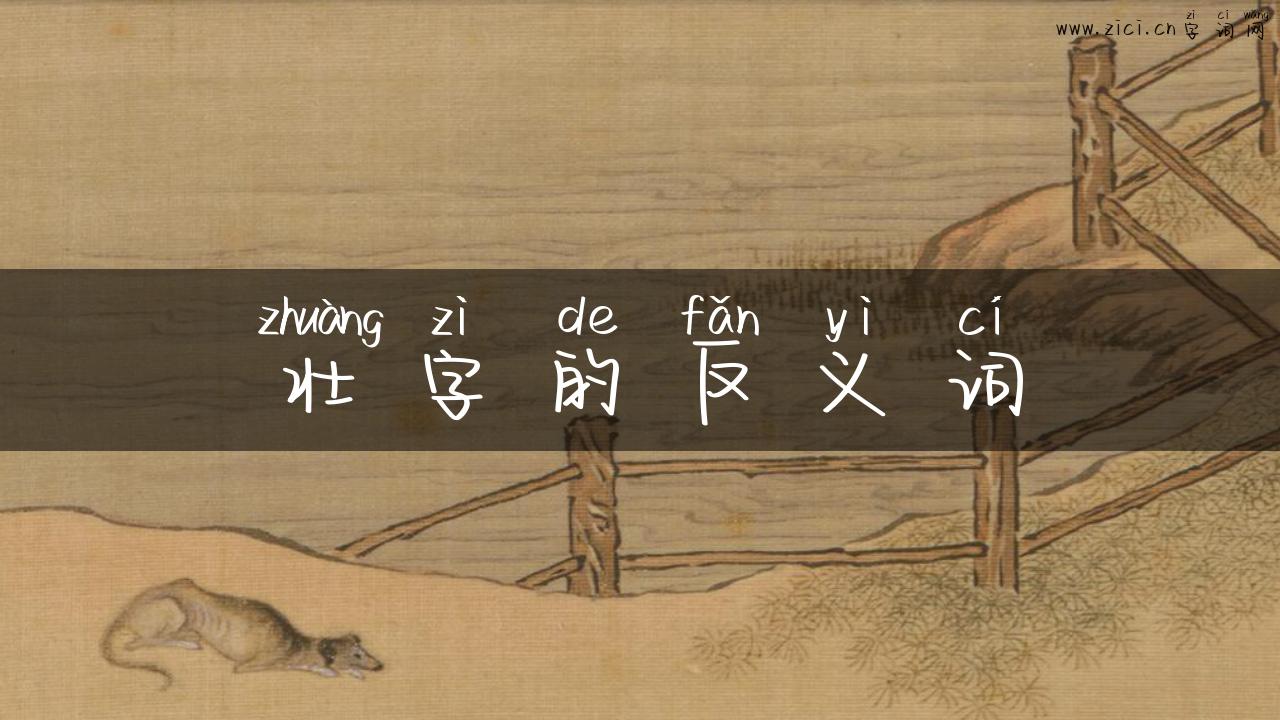 壮字的反义词