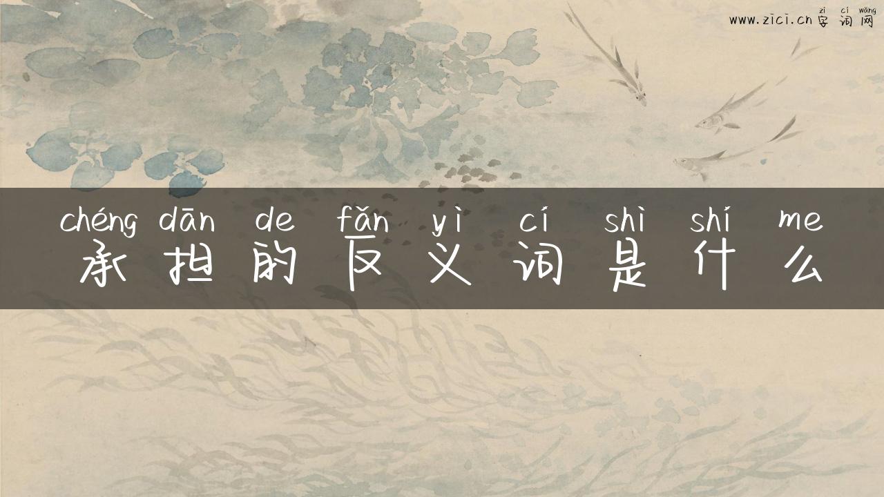 承担的反义词是什么