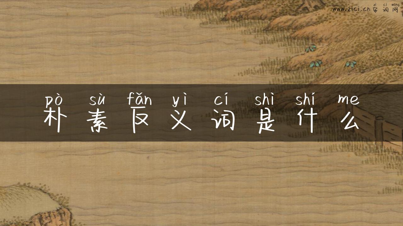 朴素反义词是什么