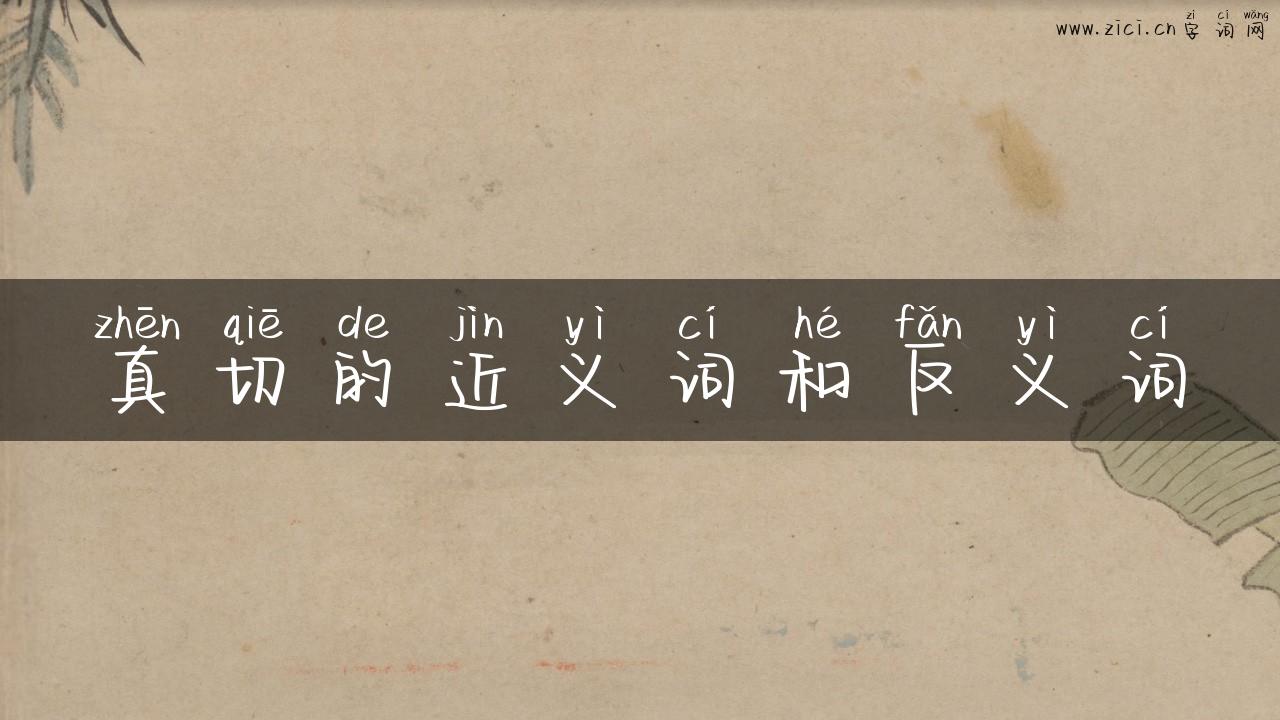 真切的近义词和反义词