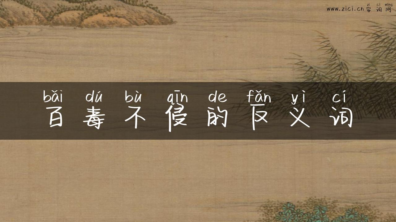 百毒不侵的反义词