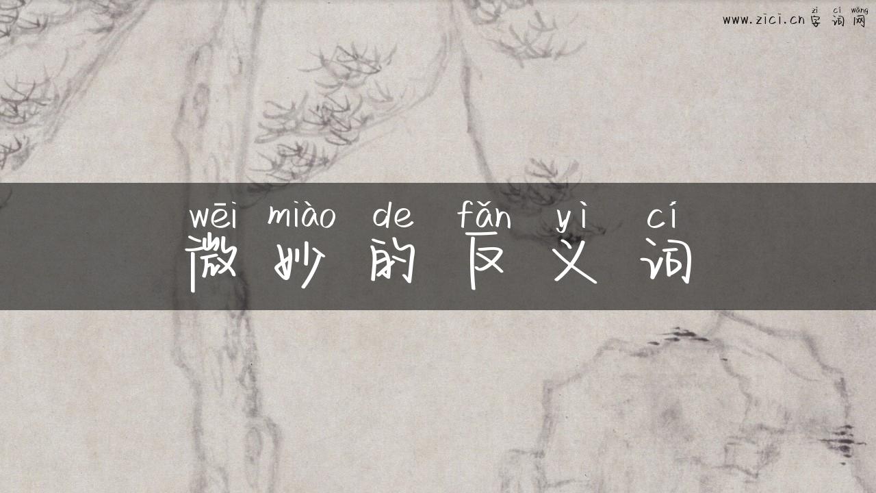 微妙的反义词