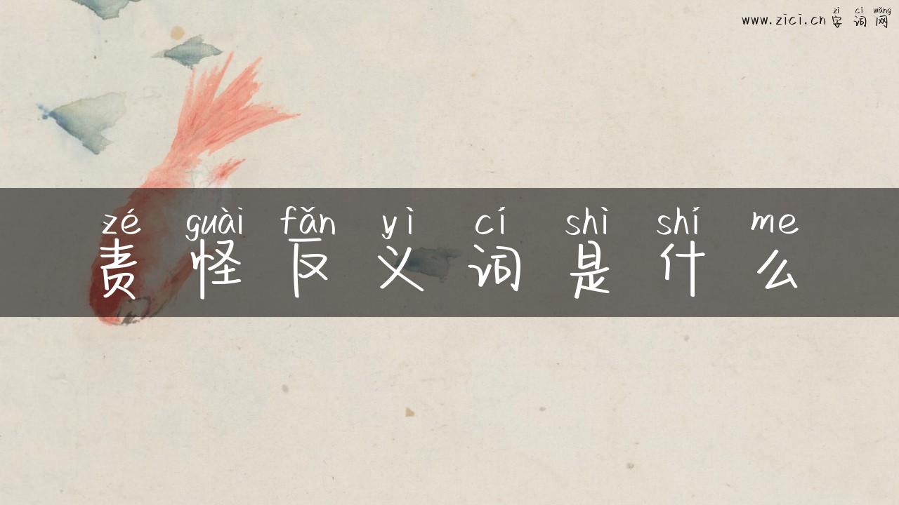 责怪反义词是什么