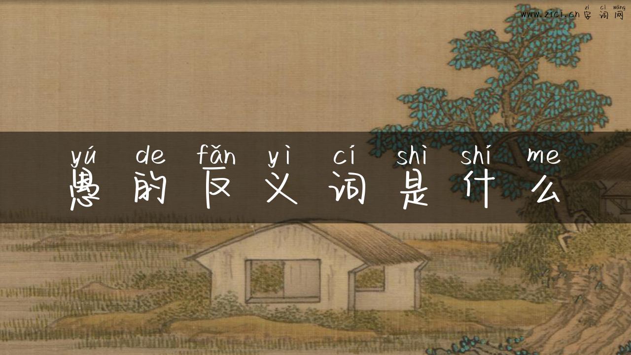 愚的反义词是什么