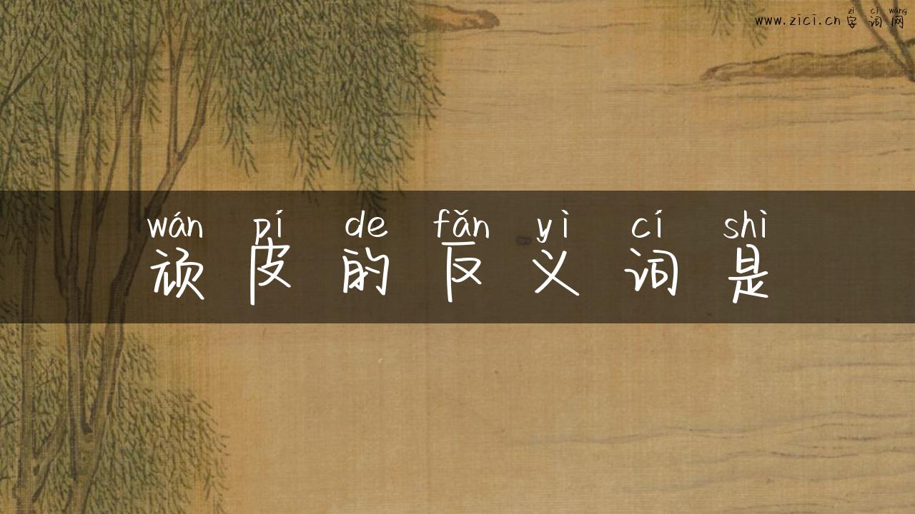 顽皮的反义词是