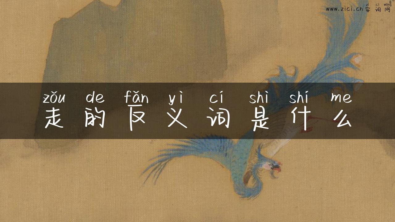 走的反义词是什么