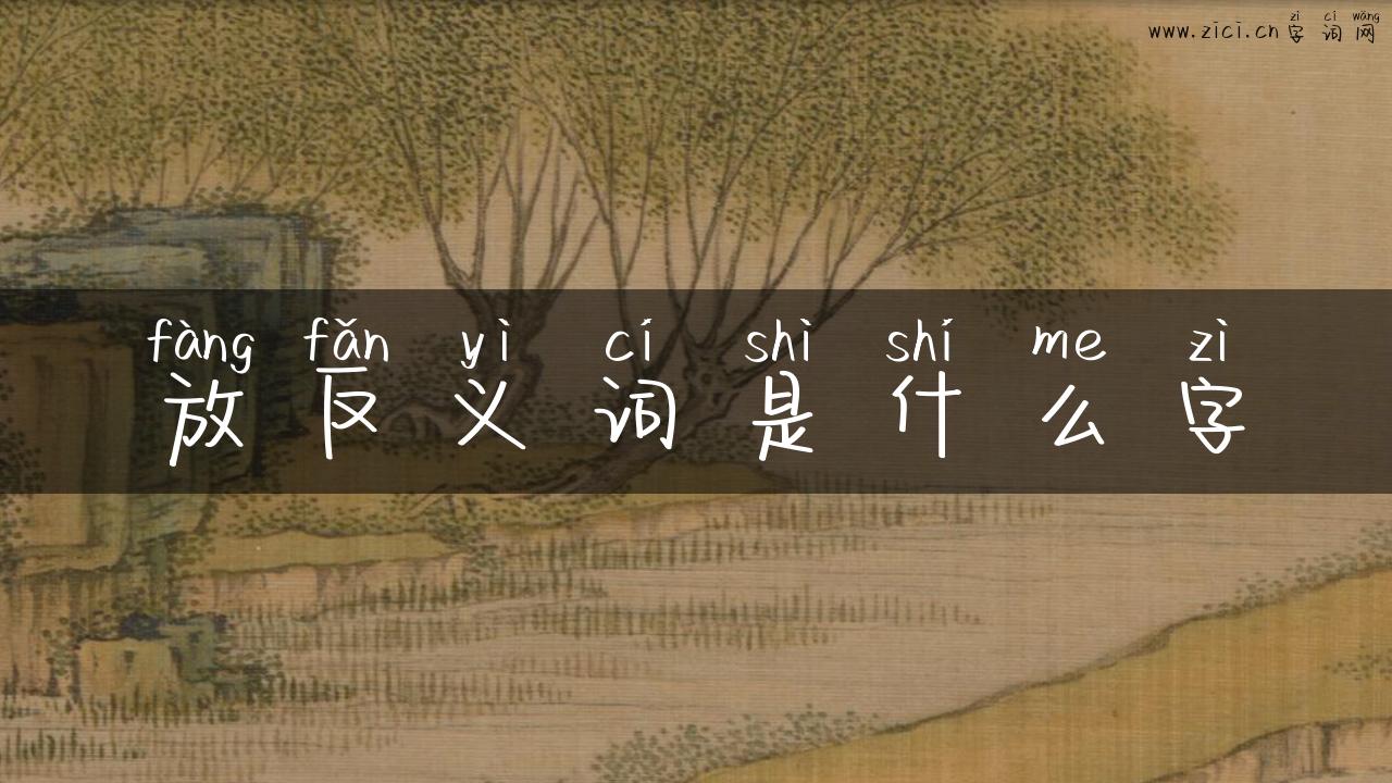 放反义词是什么字