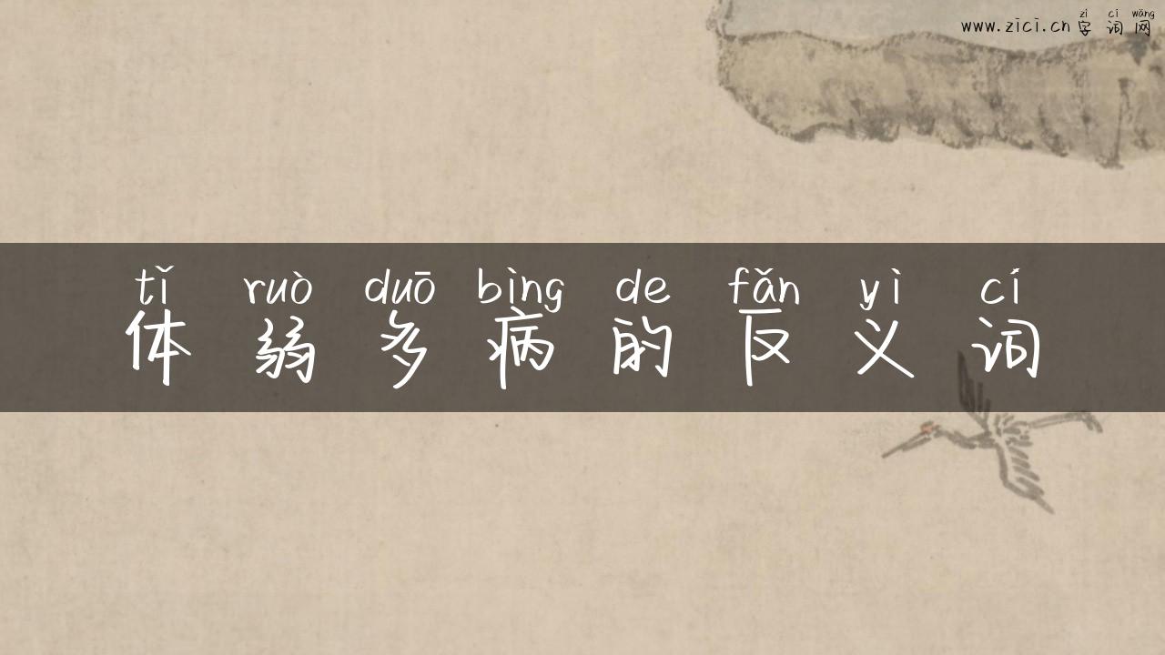 体弱多病的反义词
