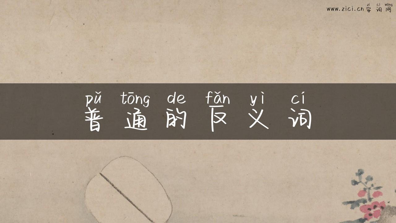 普通的反义词