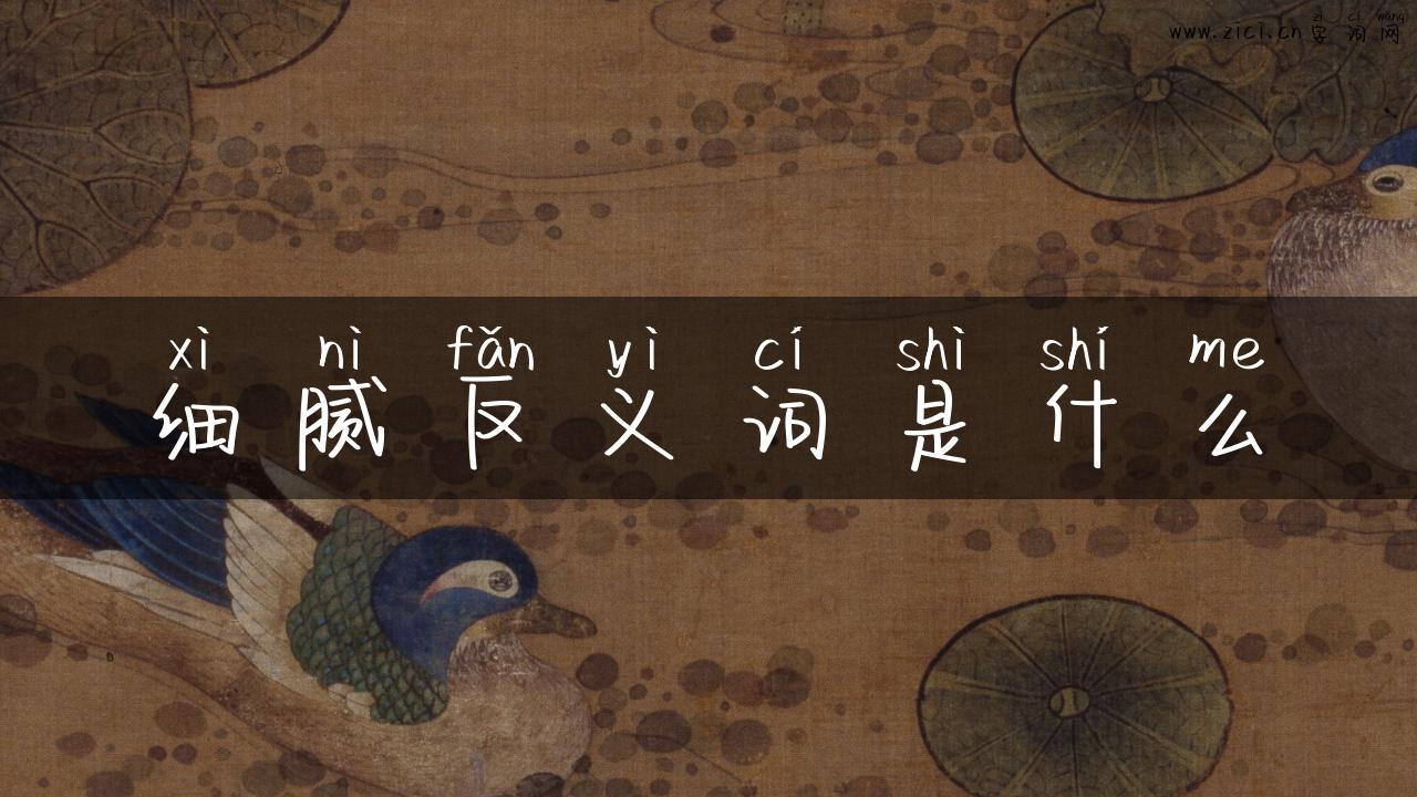 细腻反义词是什么