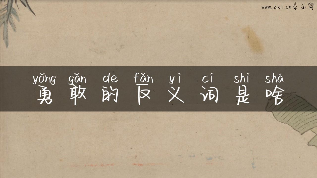 勇敢的反义词是啥