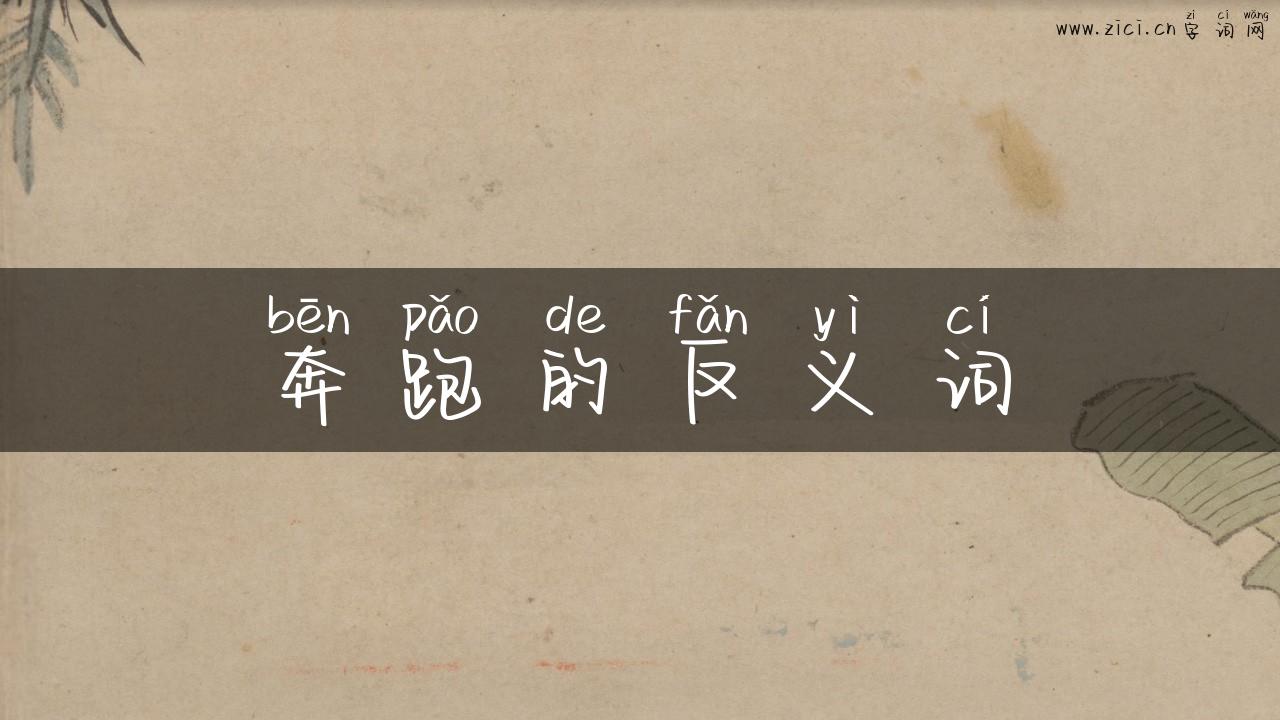 奔跑的反义词