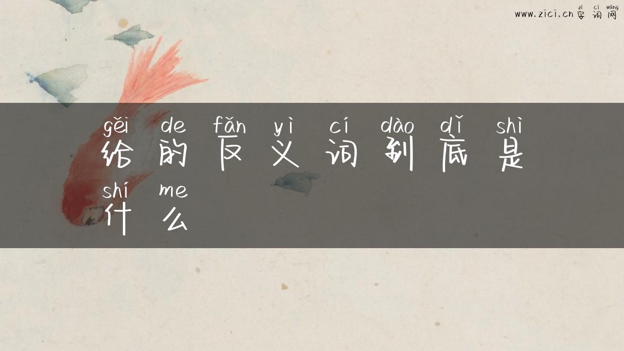 给的反义词到底是什么