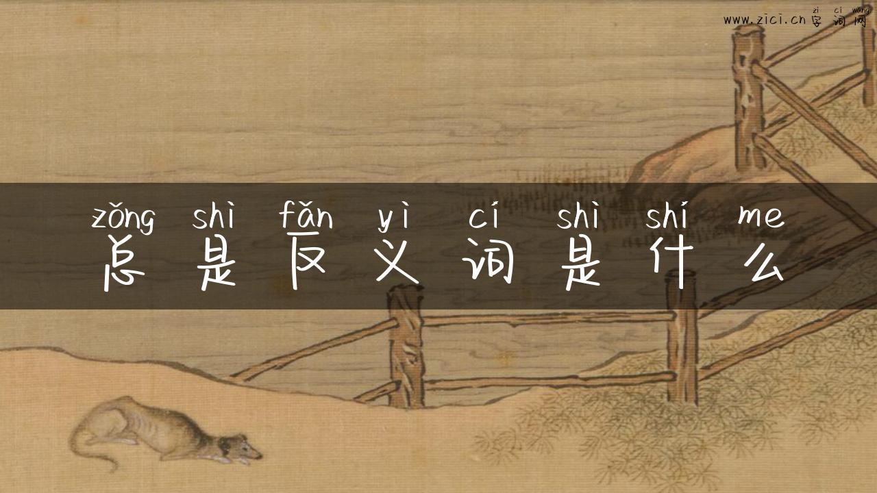 总是反义词是什么