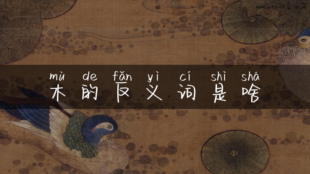 木的反义词是啥