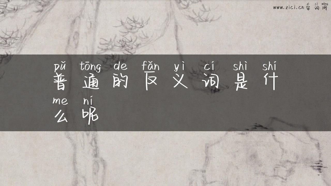 普通的反义词是什么呢