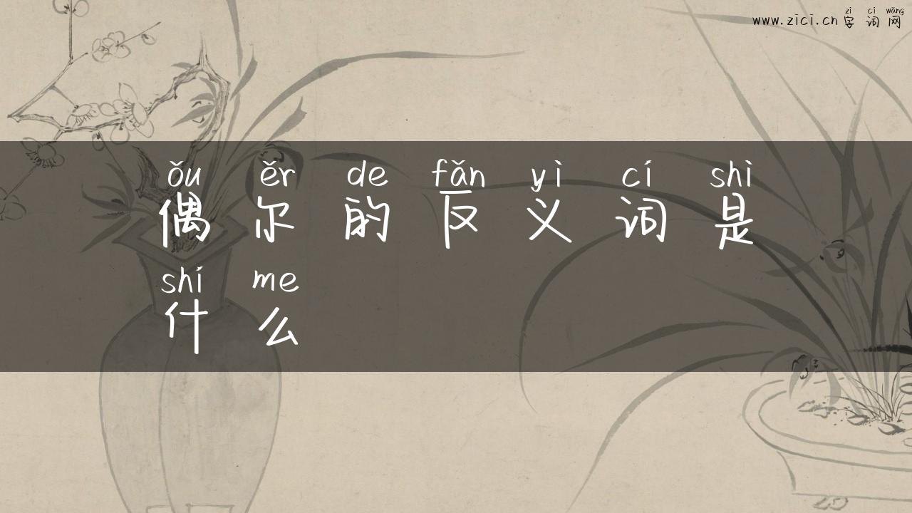 偶尔的反义词是什么