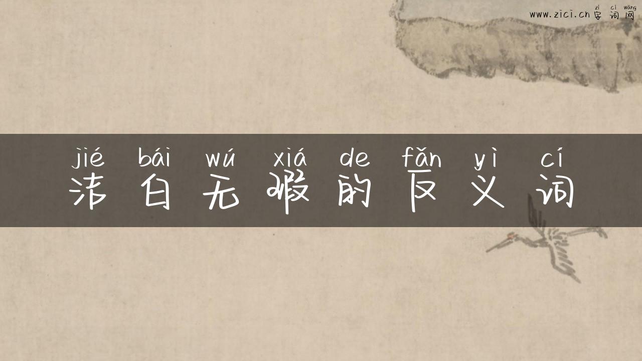 洁白无瑕的反义词