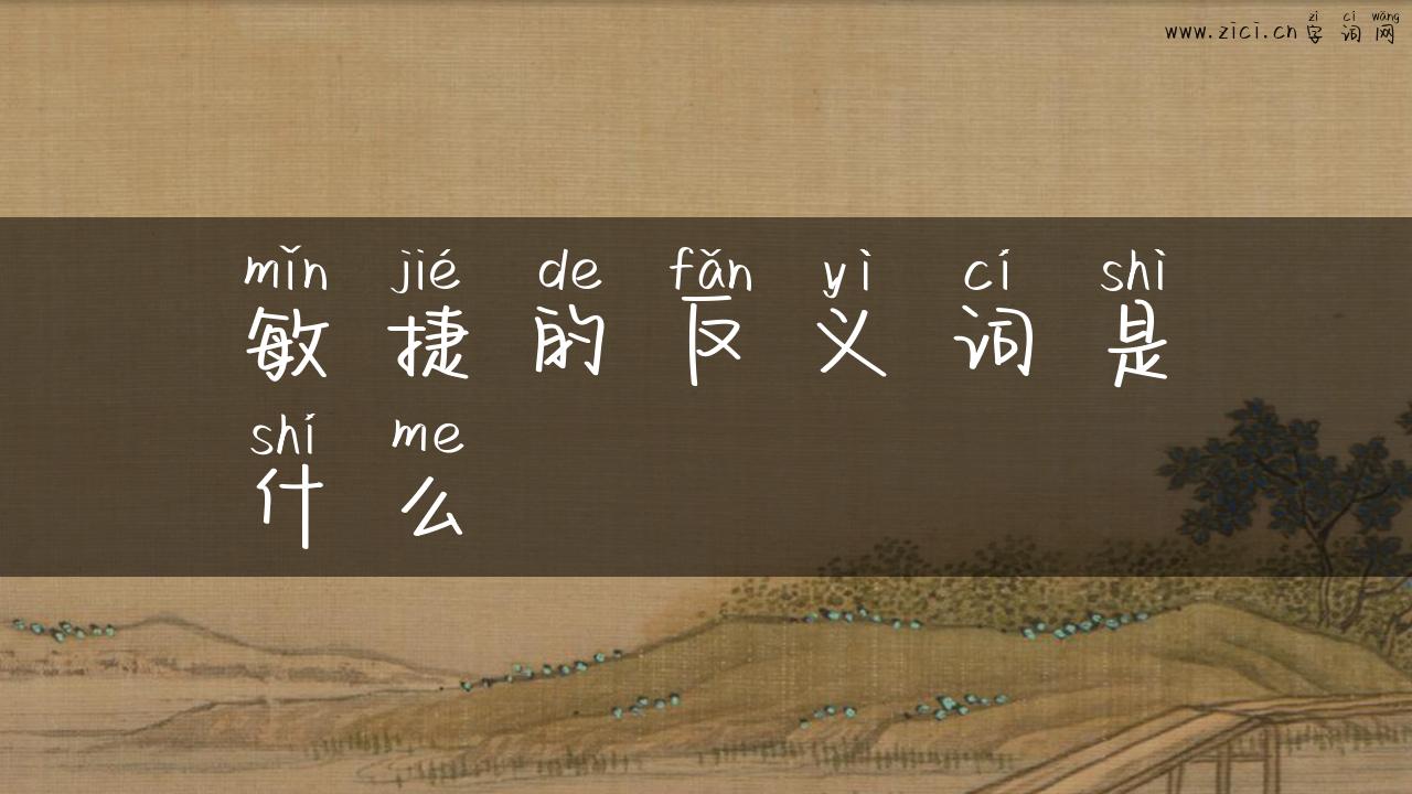 敏捷的反义词是什么