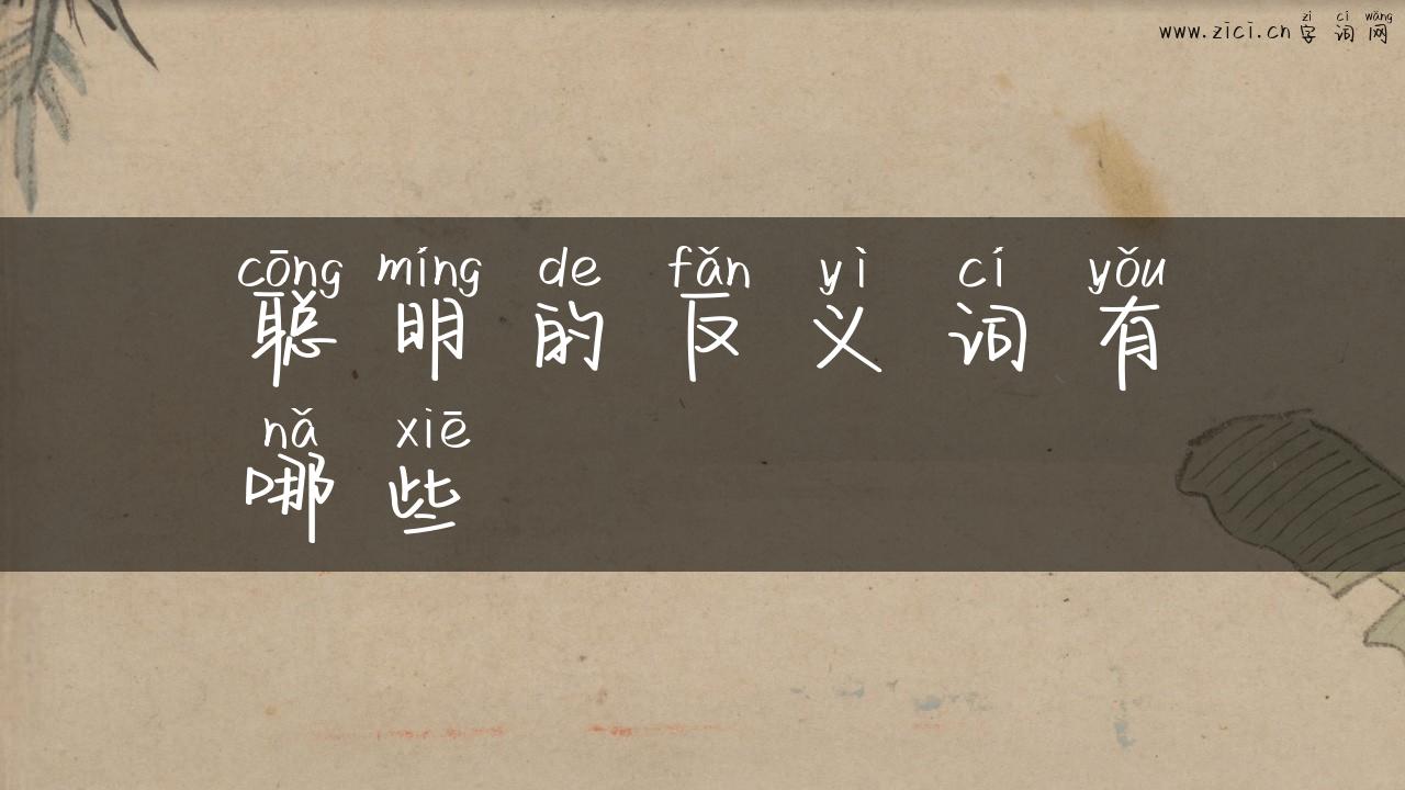 聪明的反义词有哪些