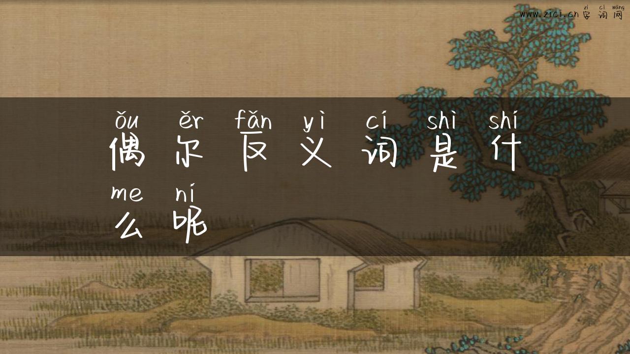偶尔反义词是什么呢