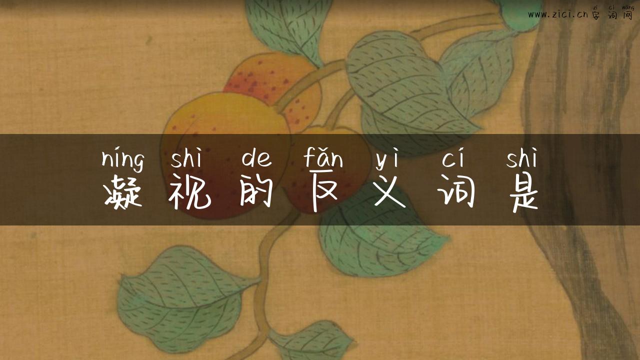 凝视的反义词是