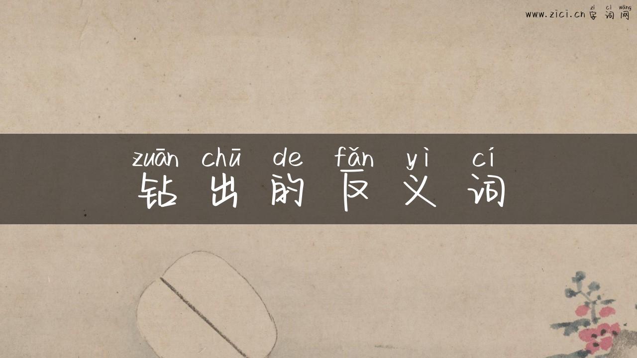 钻出的反义词