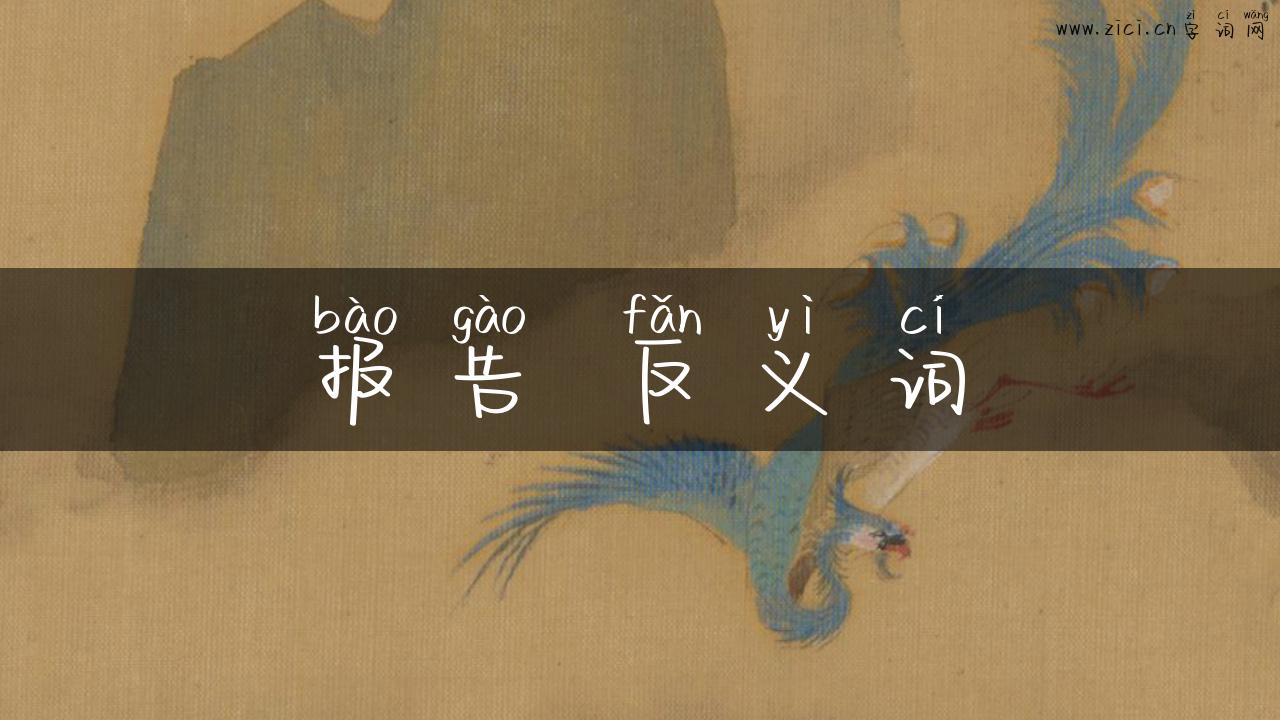 报告 反义词