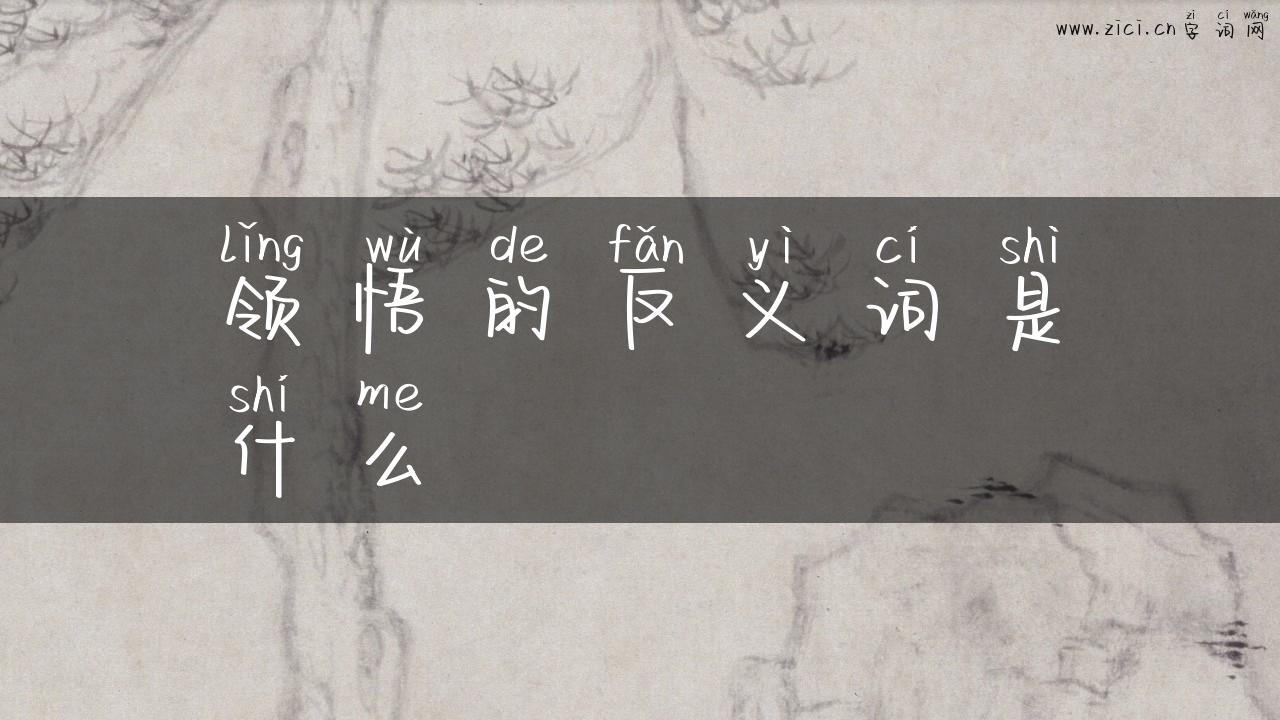 领悟的反义词是什么