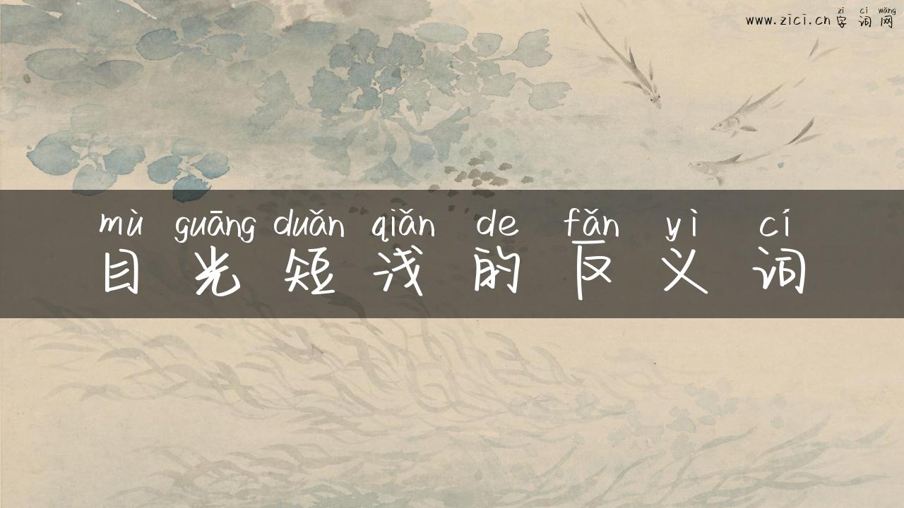 目光短浅的反义词