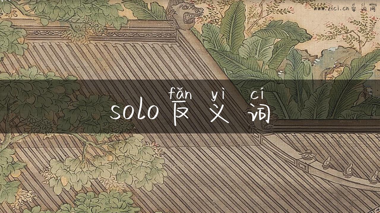 solo反义词