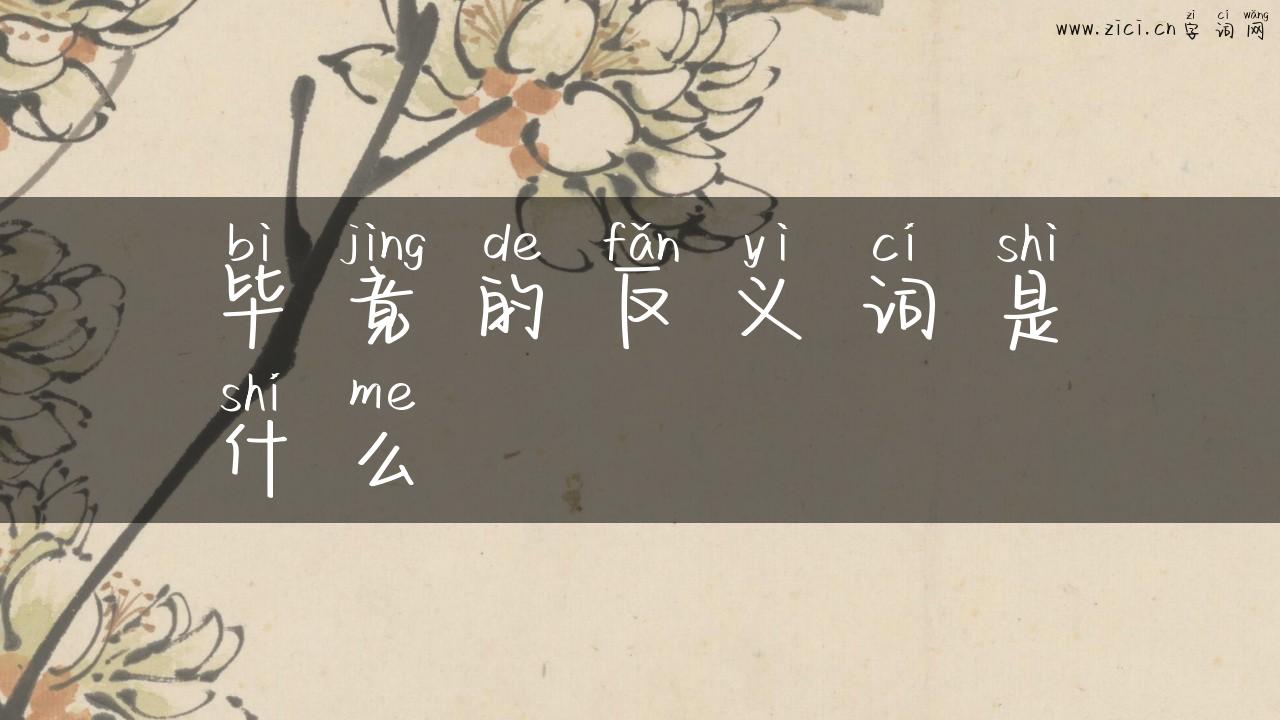 毕竟的反义词是什么