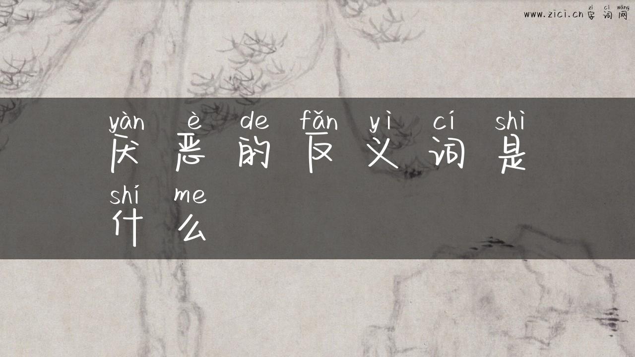 厌恶的反义词是什么