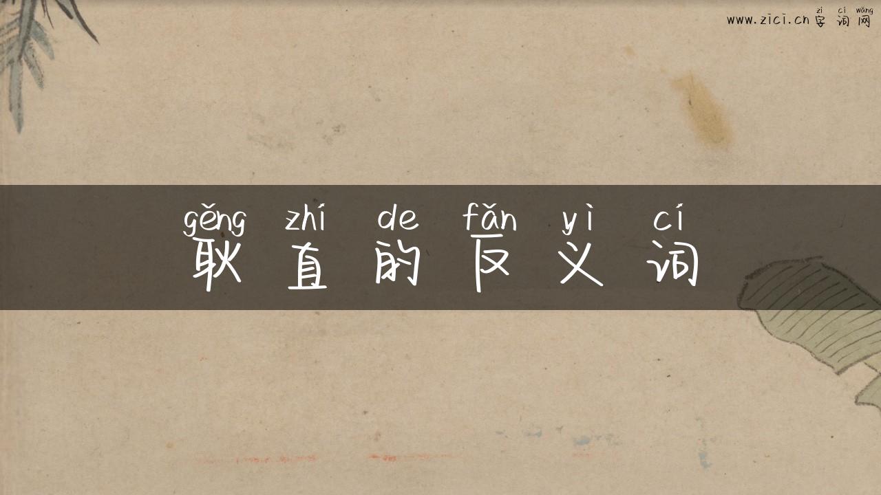 耿直的反义词