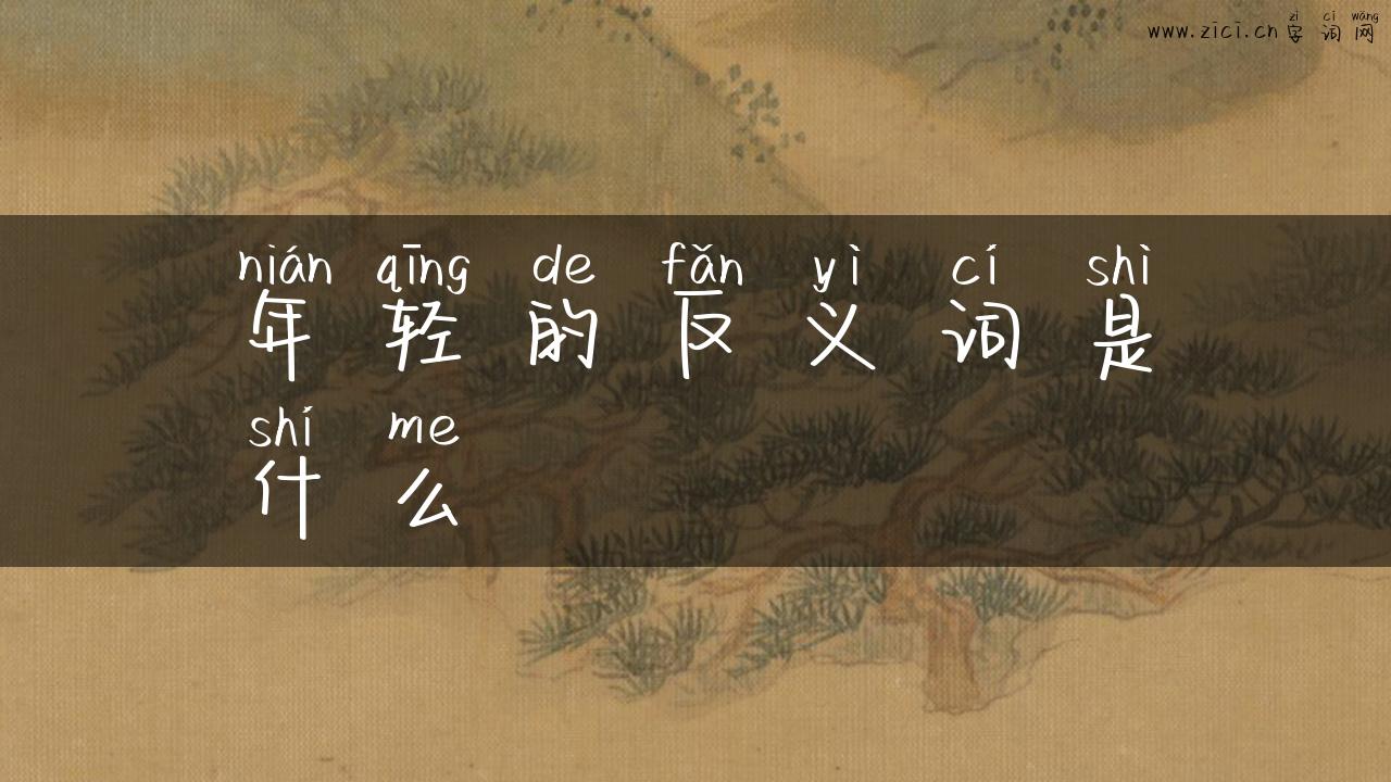年轻的反义词是什么