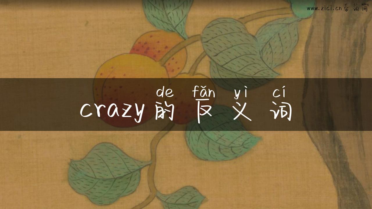 crazy的反义词