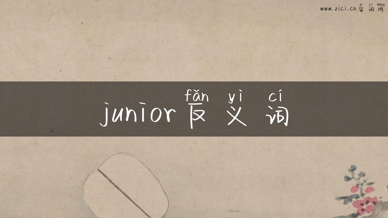 junior反义词