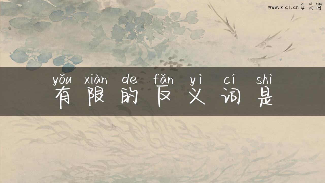 有限的反义词是