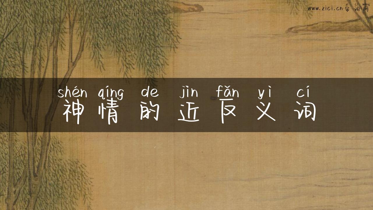 神情的近反义词