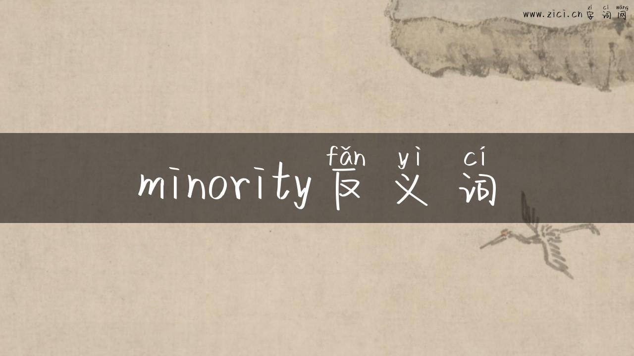 minority反义词