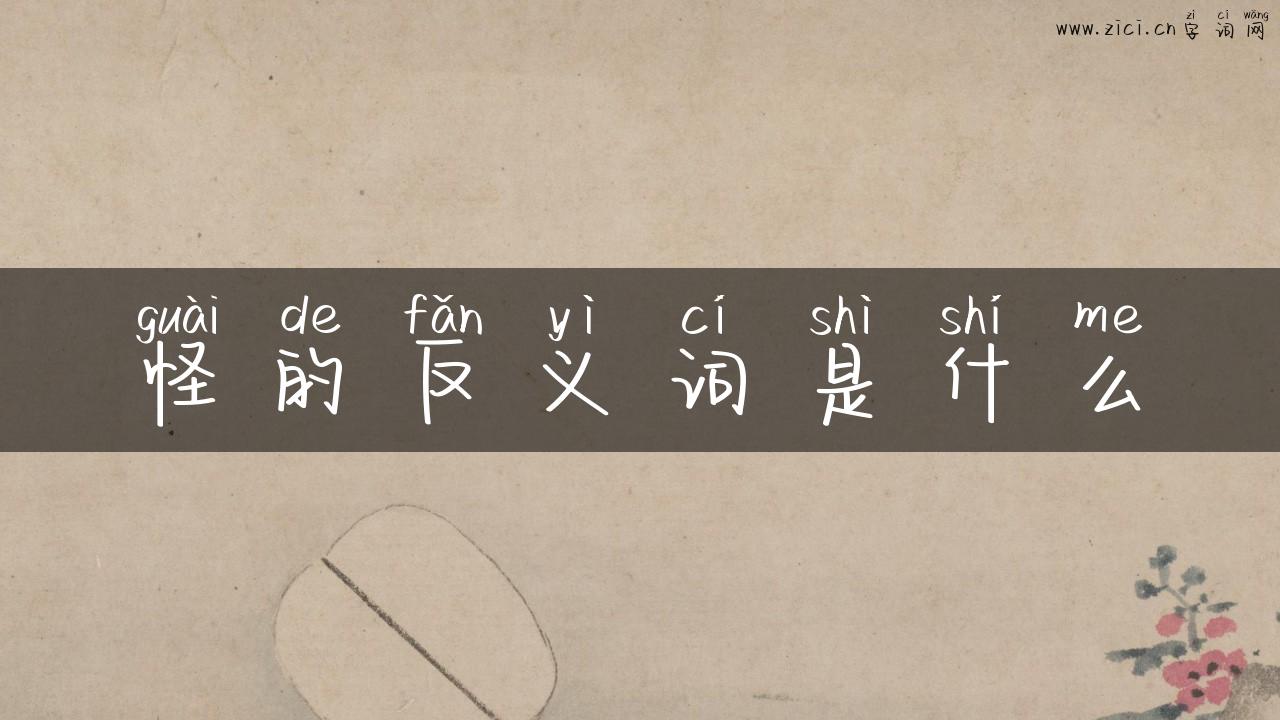 怪的反义词是什么