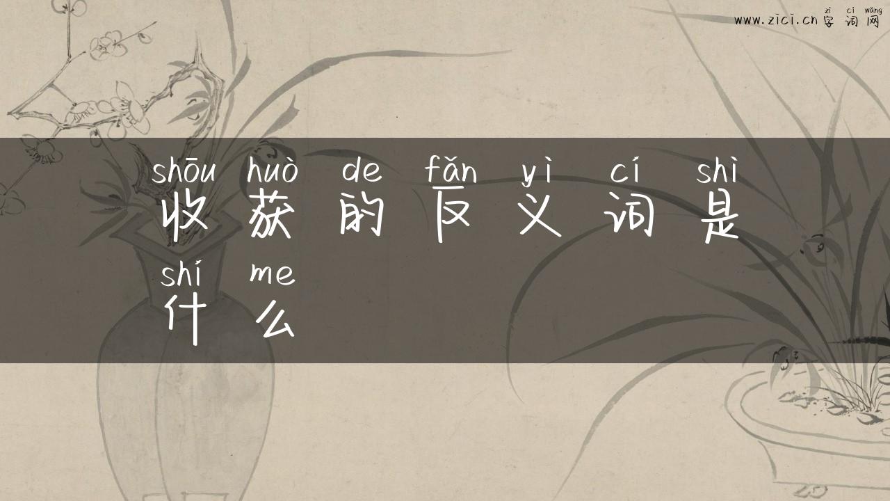 收获的反义词是什么