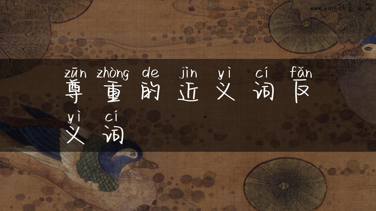 尊重的近义词反义词