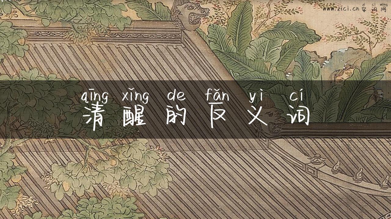 清醒的反义词