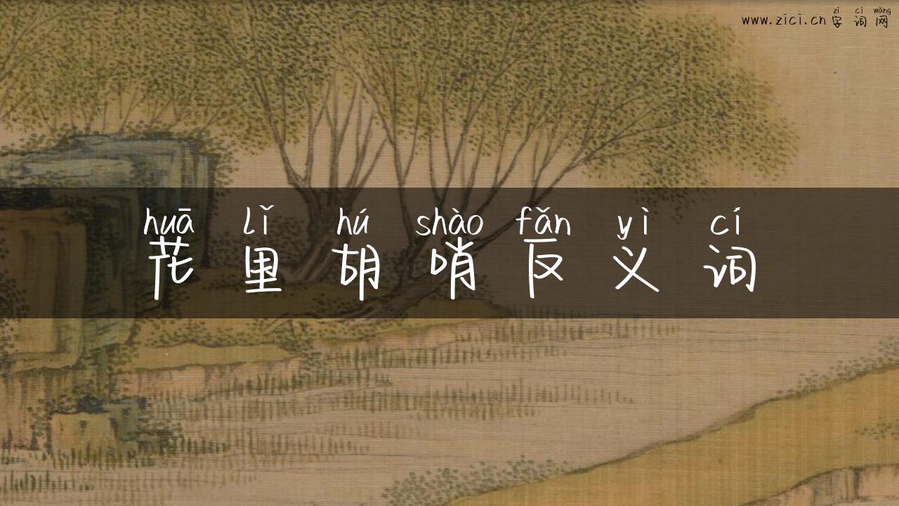花里胡哨反义词